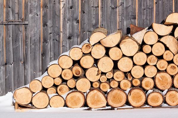 Denver Tree Service Firewood Factors